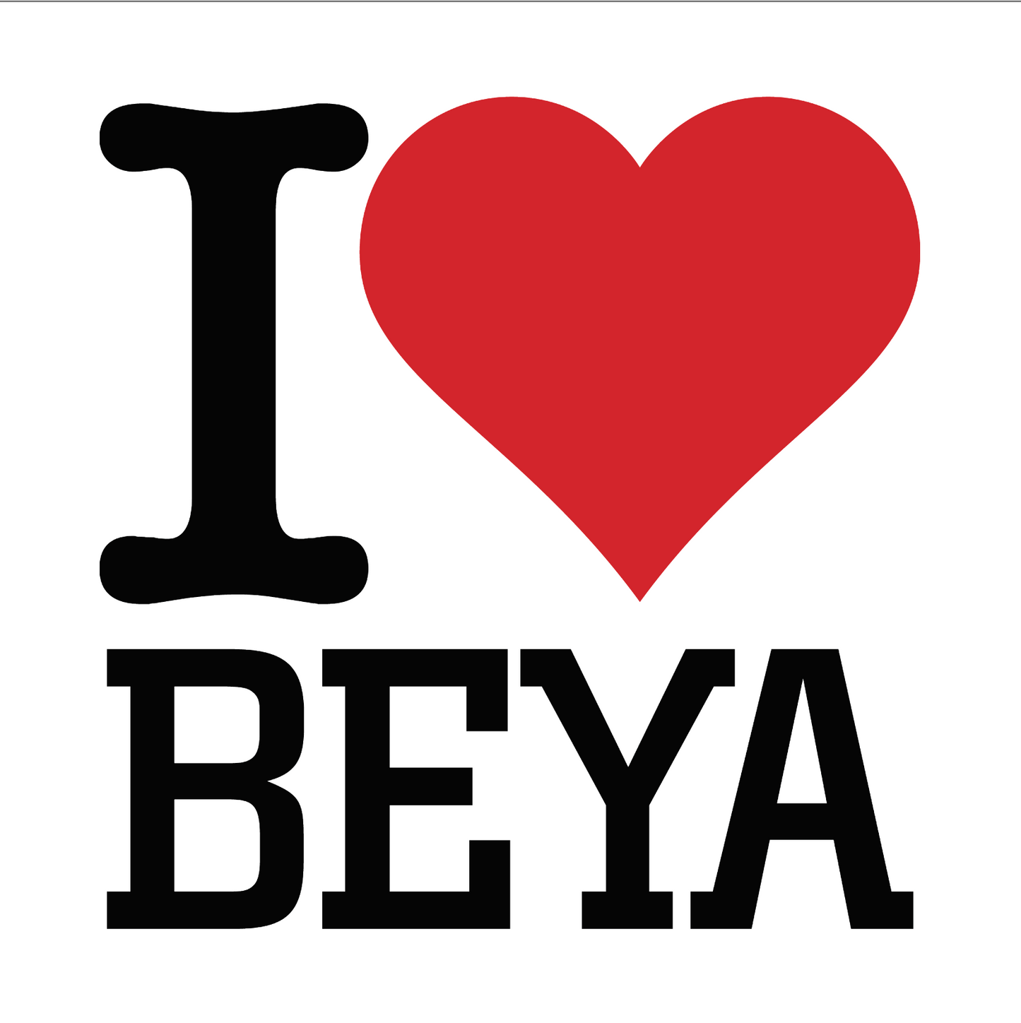 BEYA Magnets